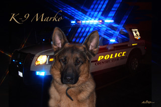 K9 Marko